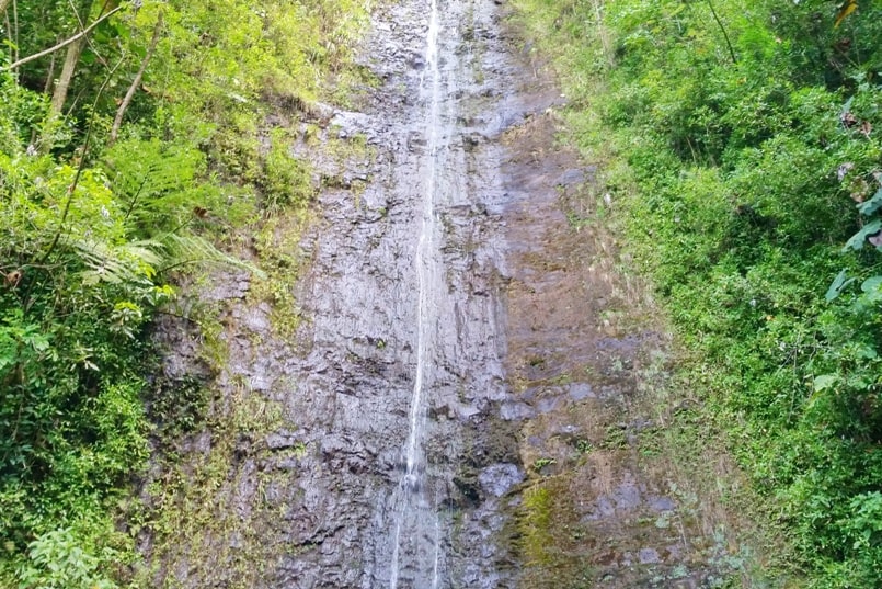 Hikes on Oahu, waterfall hikes. manoa falls trail. Hawaii travel blog