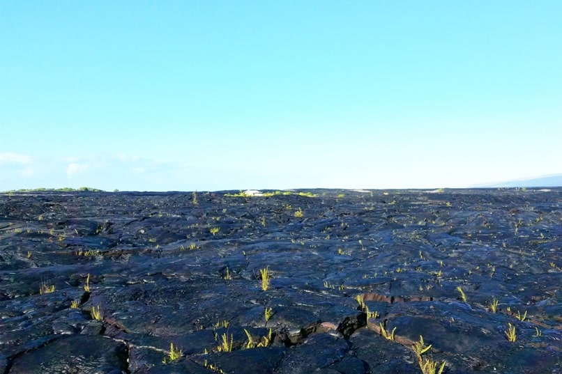 Airbnb in Puna Hawaii, in kalapana. balcony with lava field views. where to see lava fields in hawaii. Where to stay on the Big Island. Hawaii travel blog