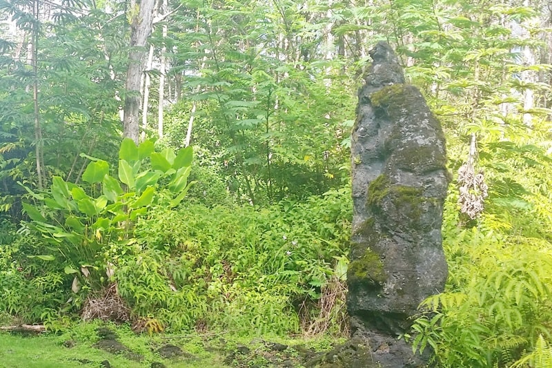 Airbnb in Puna Hawaii, in kalapana. best things to do in puna - kalapana to lava tree state monument. Where to stay on the Big Island. Hawaii travel blog