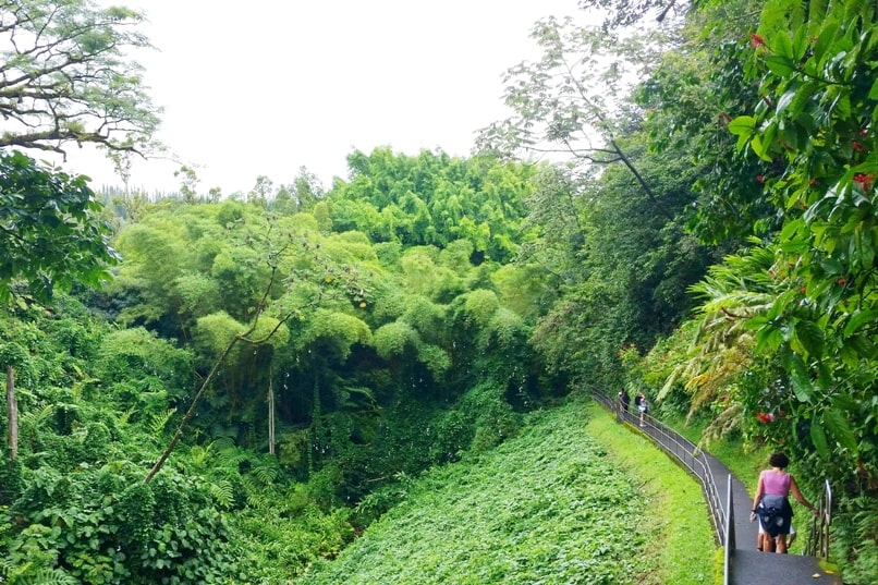 Hawaii state parks on the Big Island - Akaka Falls state park waterfalls, hiking trail, nature path. Places to visit on Big Island. Hawaii travel blog