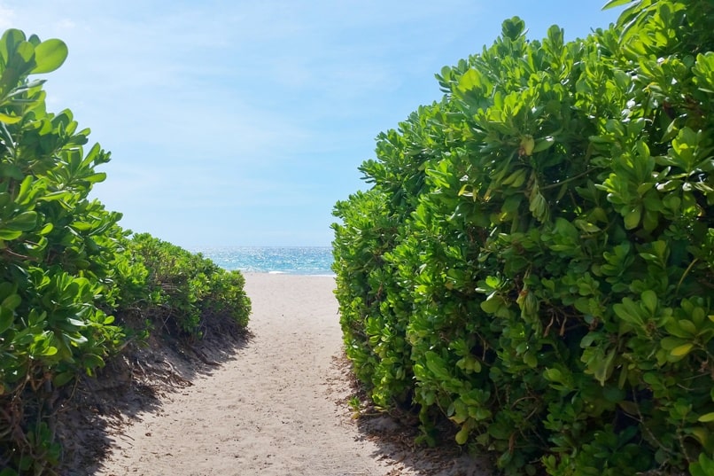 Hawaii state parks on the Big Island - Hapuna beach state park. Places to visit on Big Island. Hawaii travel blog