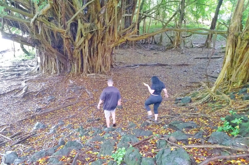 Hawaii state parks on the Big Island - Wailuku state park. rainbow falls trail. Places to visit on Big Island. Hawaii travel blog