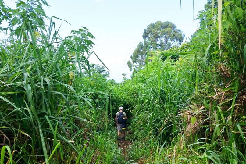Captain Cook monument hike trailhead to get to Captain Cook hiking trail. Where to park for captain cook hike. Big Island Hawaii travel blog