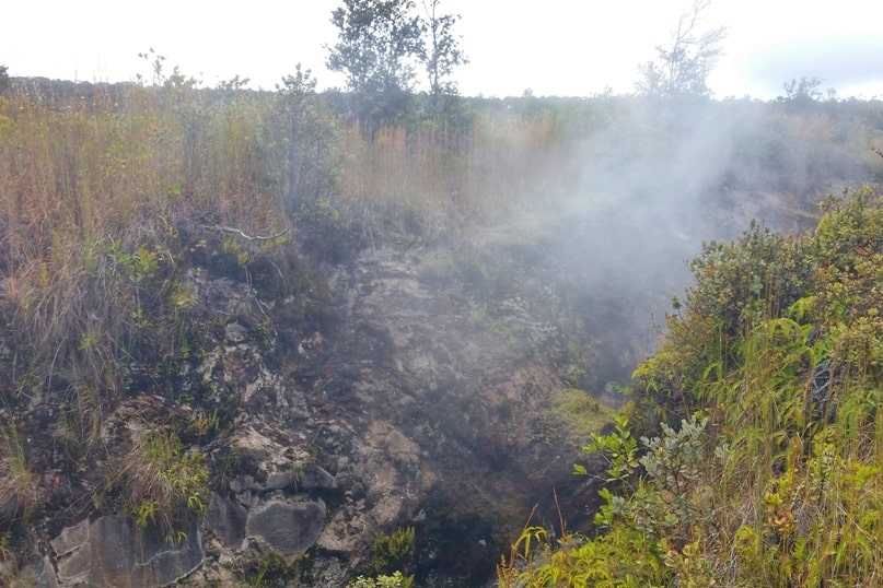 Crater Rim Drive. steam vents trail. Things to do in Hawaii volcanoes national park. Big Island Hawaii travel blog