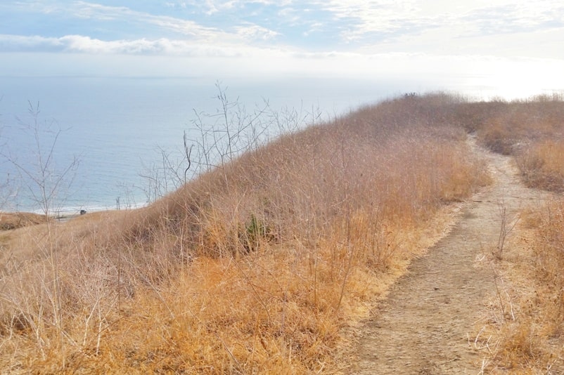 One day trip to Malibu without a car. Best things to do in Malibu in one day itinerary - Corral Canyon loop trail hike. from Los Angeles LA Santa Monica. California travel blog