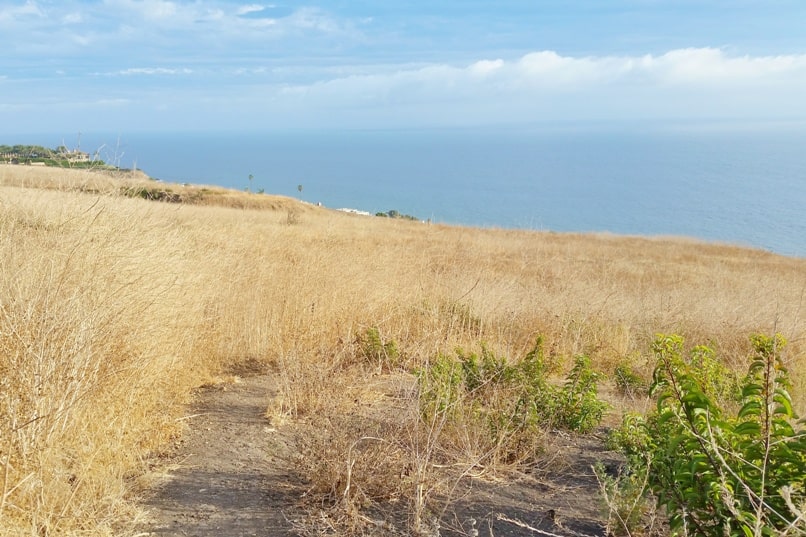 One day trip to Malibu without a car. Best things to do in Malibu in one day itinerary - Corral Canyon loop trail hike. from Los Angeles LA Santa Monica. California travel blog