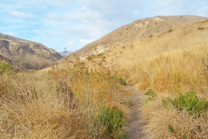 One day trip to Malibu without a car. Best things to do in Malibu in one day itinerary - Corral Canyon loop trail hike. from Los Angeles LA Santa Monica. California travel blog