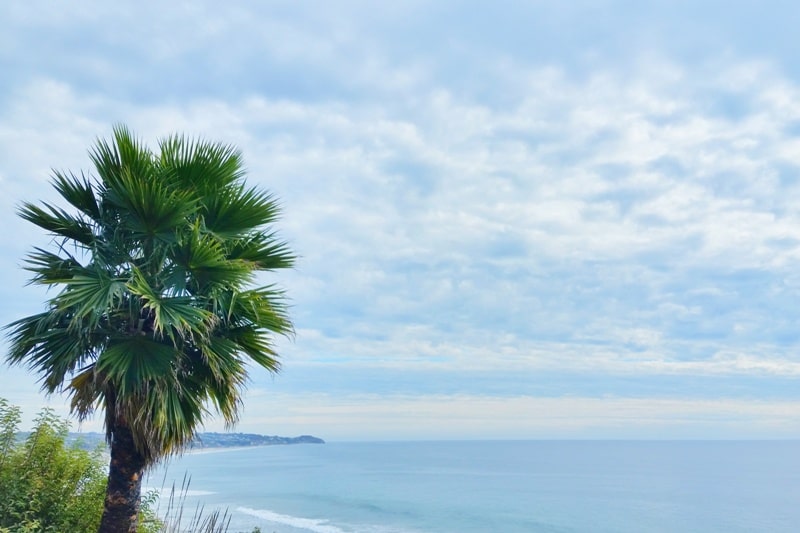 One day trip to Malibu without a car. Best things to do in Malibu in one day itinerary - walk Pacific Coast Highway PCH to bus stop from El Matador State Beach. from Los Angeles LA Santa Monica. California travel blog