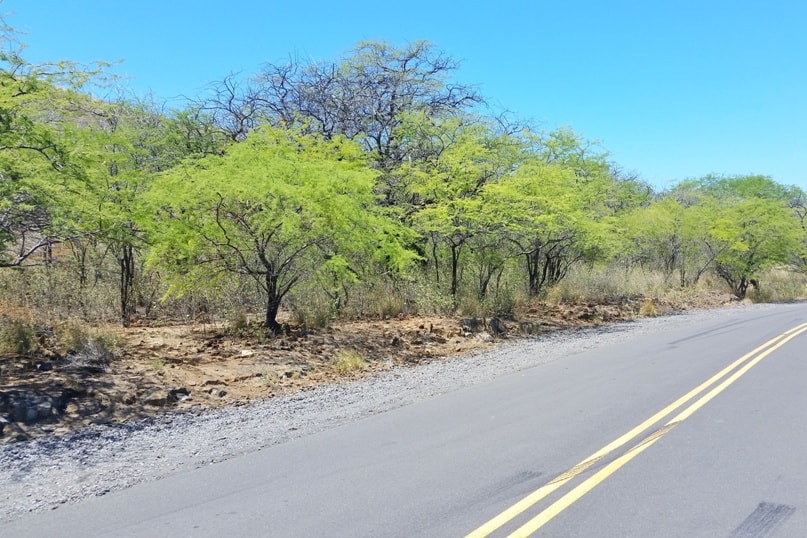 Puu Kuili hike - how to get there. walk to start of trailhead. Big Island Hawaii travel blog