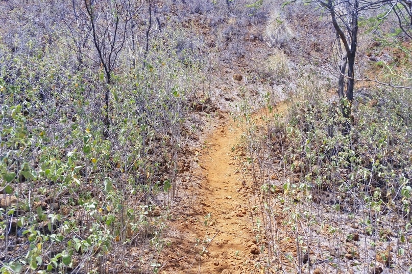 Puu Kuili hike - how to get there. walk to start of trailhead. Big Island Hawaii travel blog
