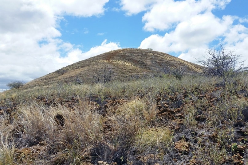 Puu Kuili hike - how to get there. walk to start of trailhead. Big Island Hawaii travel blog