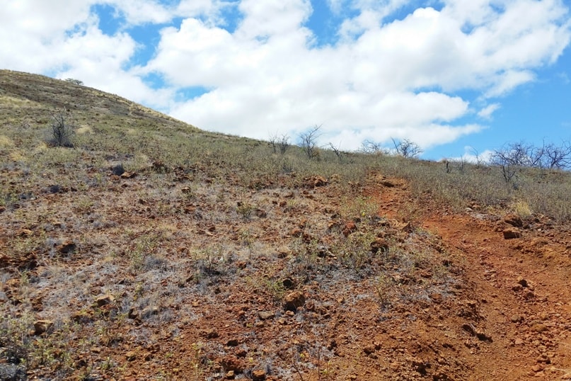 Puu Kuili hike trail in Kekaha Kai State Park. Best hikes in Kona. Big Island Hawaii travel blog