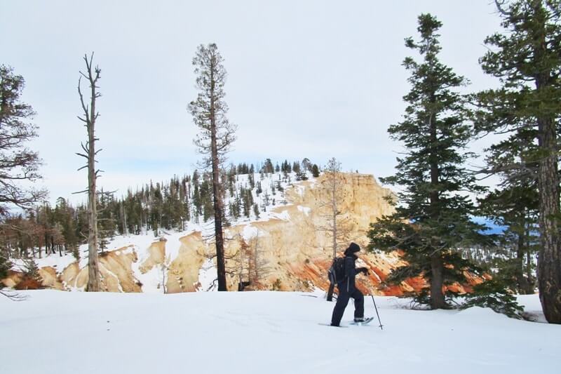 Arizona Utah road trip itinerary with Southwest US national parks. Best things to do in winter in Bryce Canyon National Park: park ranger led snowshoe hike. United States travel blog