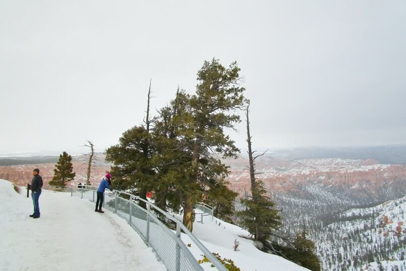 Bryce Point in winter. trail to bryce point overlook. best things to do in bryce canyon national park in winter. Utah travel blog