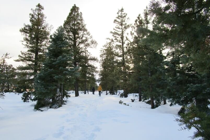 Farview Point to Piracy Point in winter. Best short and easy winter hikes in Bryce Canyon. Best viewpoints in Bryce Canyon National Park drive. Utah travel blog