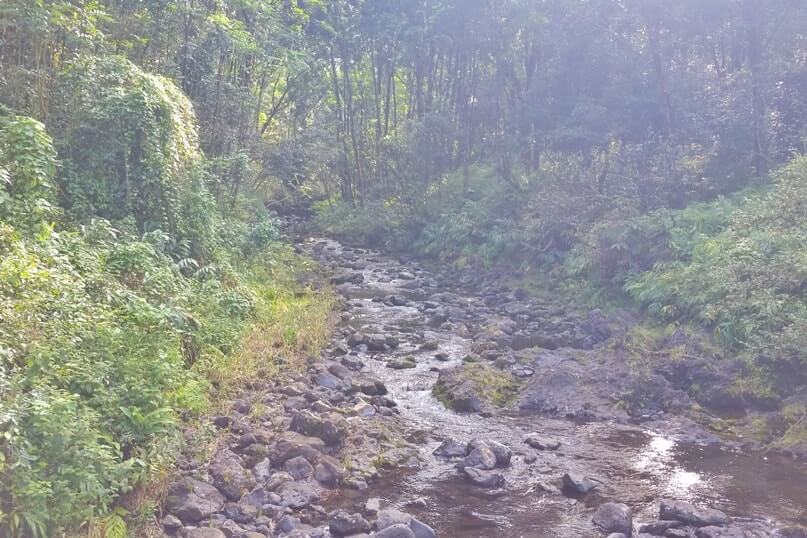 Makapipi Falls stream. Road to Hana waterfalls in Maui. Hawaii travel blog