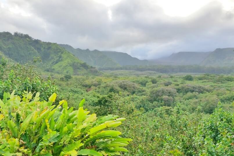 Wailua Valley state wayside scenic overlook on the Road to Hana stops. Maui Hawaii travel blog
