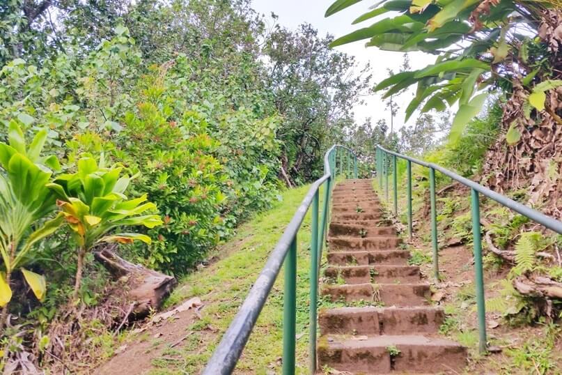 Wailua Valley state wayside stairs on the Road to Hana. Maui Hawaii travel blog