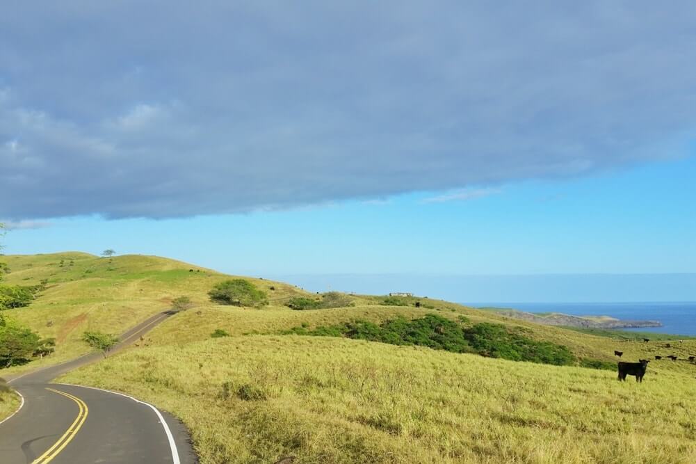 Best things to do in Maui Hawaii: back road to hana. kula highway. piilani highway. backside of haleakala. Maui Hawaii travel blog
