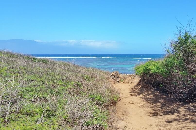 Poaiwa coastal hiking trail to see petroglyphs in Lanai. Lanai Hawaii travel blog