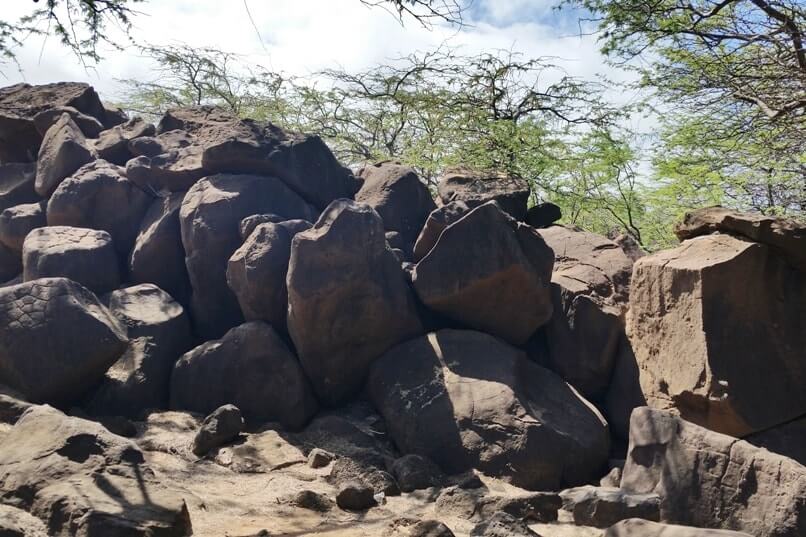Where to see petroglyphs in Lanai Hawaii - poaiwa petroglyph complex, lava rock boulders. Lanai Hawaii travel blog