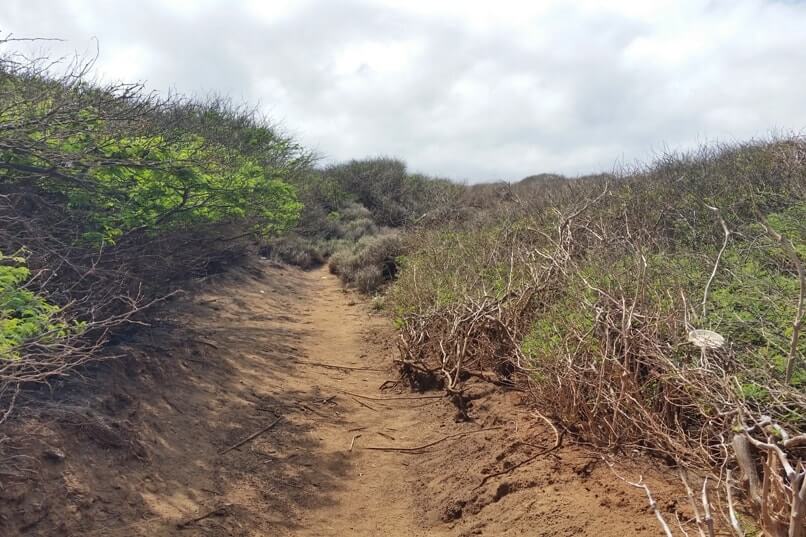 Poaiwa Trail to Lanai petroglyphs. hike. Lanai Hawaii travel blog
