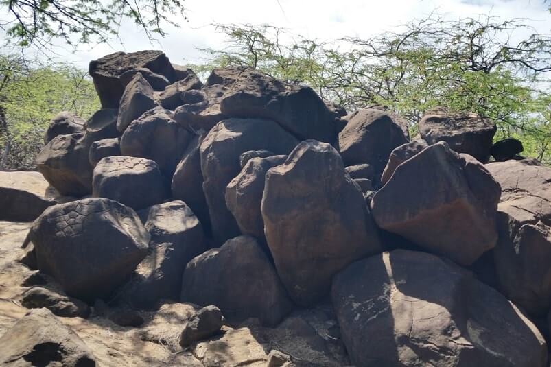 Lanai petroglyphs - Poaiwa petroglyphs in Hawaii. boulders, carvings on lava rock. Lanai Hawaii travel blog