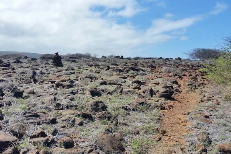 Poaiwa trail to see petroglyphs in Lanai. Lanai Hawaii travel blog
