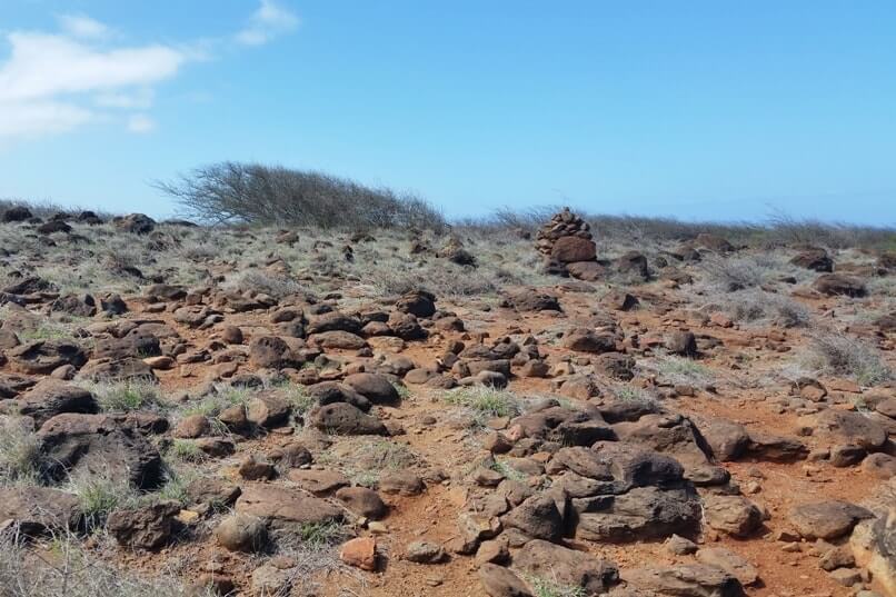 Poaiwa trail to see petroglyphs in Lanai. Lanai Hawaii travel blog