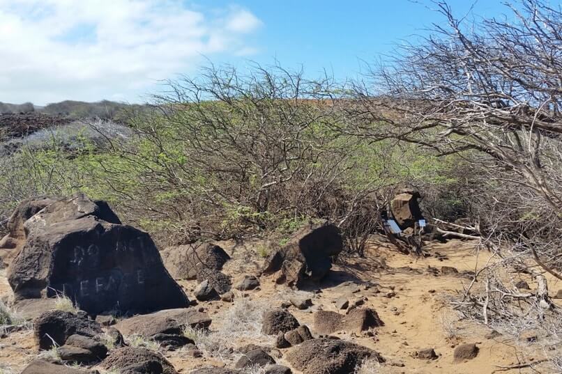 Poaiwa trail to see petroglyphs in Lanai. Lanai Hawaii travel blog
