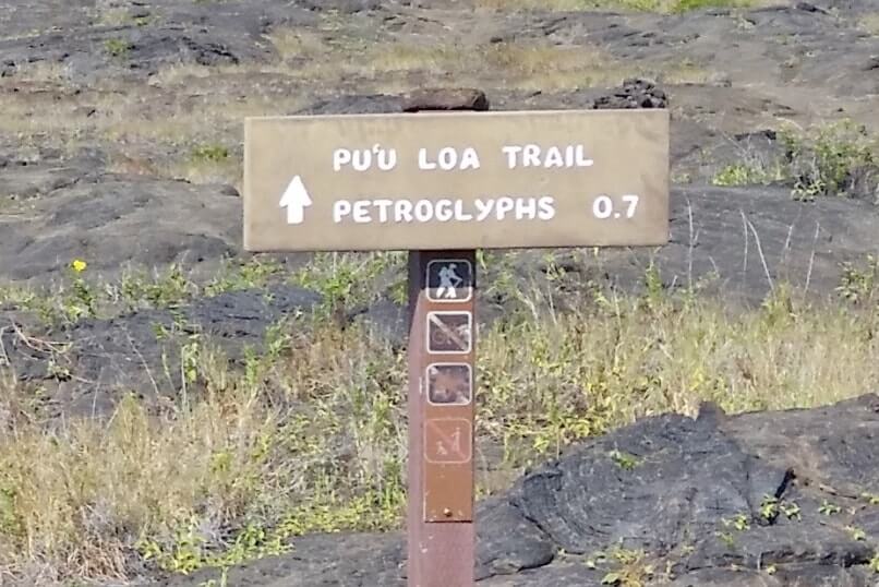 Hike across lava fields to see Puu loa petroglyphs in hawaii volcanoes national park. big island hawaii travel blog