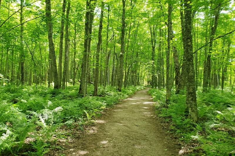 Laughing whitefish falls hiking trail. Best waterfall hikes in UP upper peninsula Michigan. Michigan travel blog