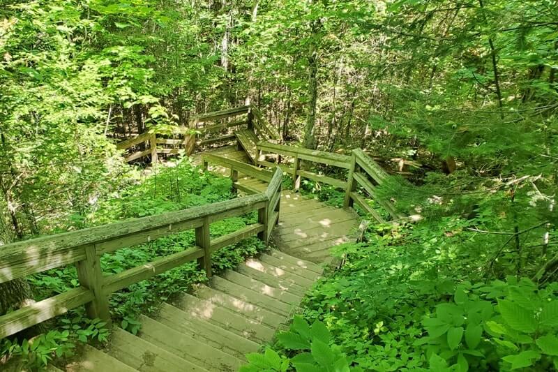Sable Falls Trail boardwalk stairs hiking to waterfalls. forest waterfall hike in Pictured Rocks. UP Michigan travel blog