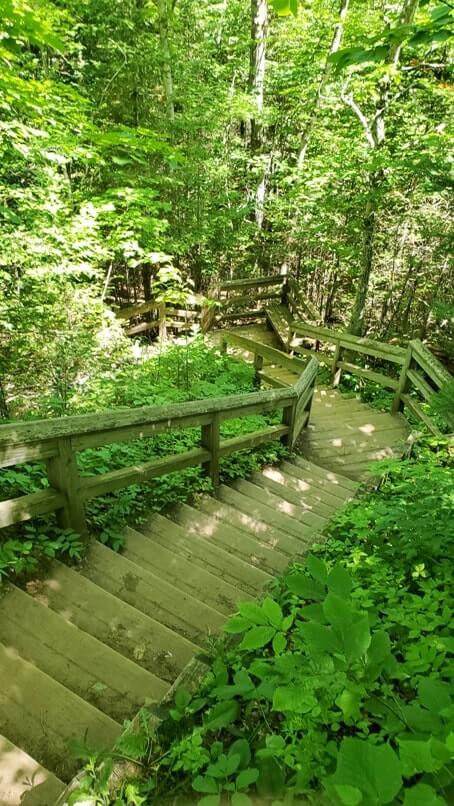 Sable Falls Trail boardwalk stairs hiking to waterfalls. forest waterfall hike in Pictured Rocks. UP Michigan travel blog