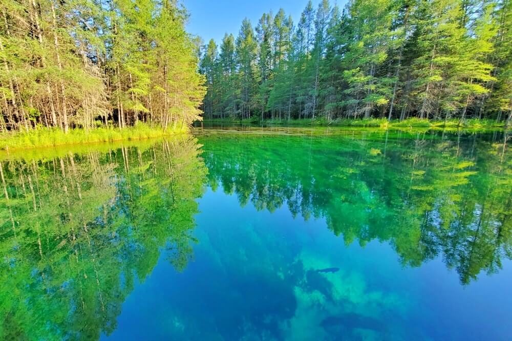 Best places to visit in the UP upper peninsula Michigan: Kitch-iti-kipi, the bubbling big spring. Michigan travel blog