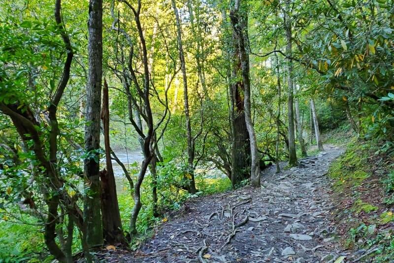Abrams Falls hiking trail: Best Cades Cove hike in Smoky Mountains. forest hike in Tennessee TN. Smokies travel blog