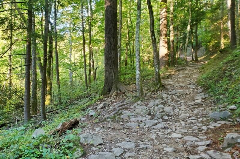 Abrams Falls hiking trail: Best Cades Cove hike in Smoky Mountains. forest hike in Tennessee TN. Smokies travel blog
