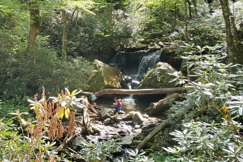 Grotto Falls Trail waterfall hike, Trillum Gap Trail. Smokies travel blog
