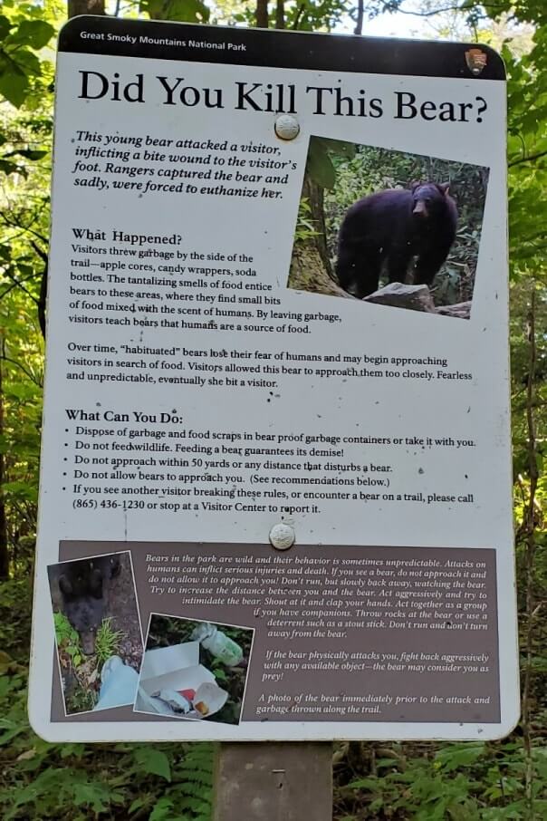 bears near grotto falls. trillium gap trail. how many miles long distance, how much time. smokies travel blog