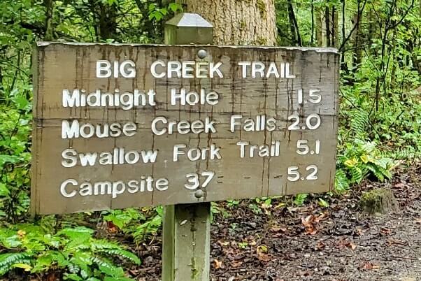 Big Creek Trail to Midnight hole waterfalls trail information. how long distance miles, how much time. smokies travel blog