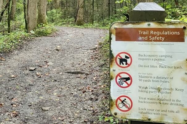 Are dogs allowed on big creek trail to midnight hole waterfalls. smokies travel blog