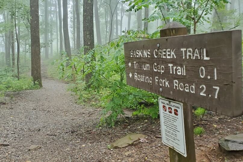 Hiking trail to waterfalls in Great Smoky Mountains National Park: Baskins Creek Falls Trail. Best waterfall hikes in the Smoky Mountains in Tennessee TN. Smokies travel blog