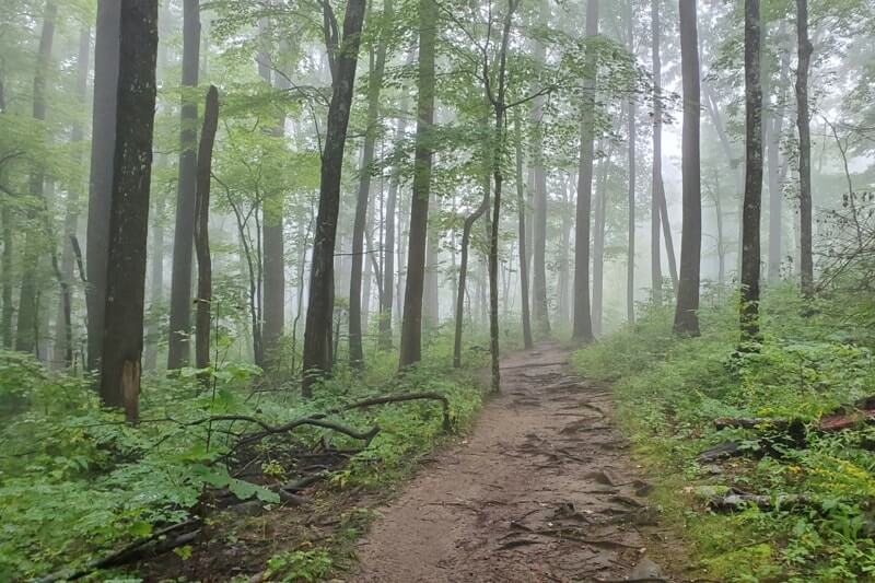 Waterfalls in Great Smoky Mountains National Park: Baskins Creek Falls Trail. Best waterfall hikes in the Smoky Mountains in Tennessee TN. Smokies travel blog