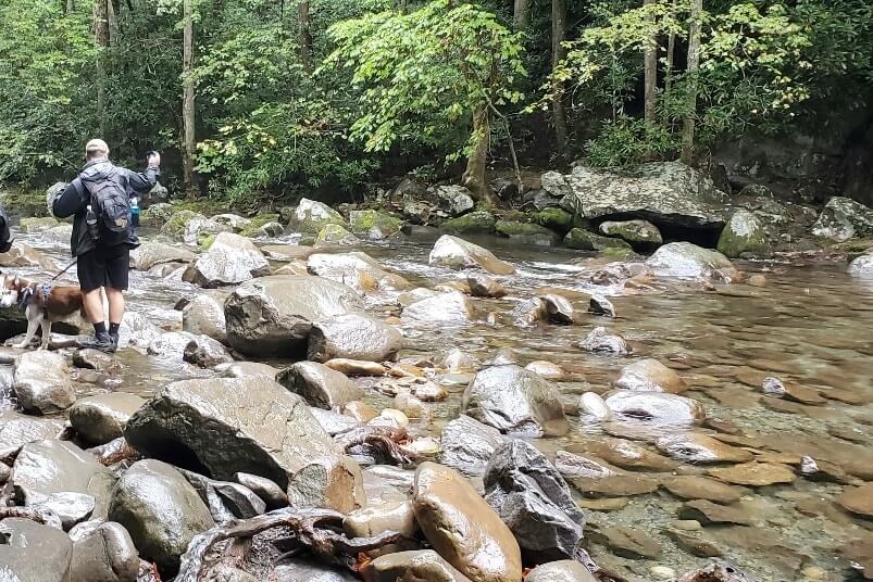 Are dogs allowed on waterfall hiking trails in Great Smoky Mountains National Park? Pet-friendly hiking trails in Smoky Mountains. smokies travel blog