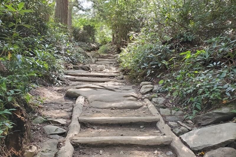 Waterfalls in Great Smoky Mountains National Park: Grotto Falls Trail. Best waterfall hikes in the Smoky Mountains in Tennessee TN. Smokies travel blog