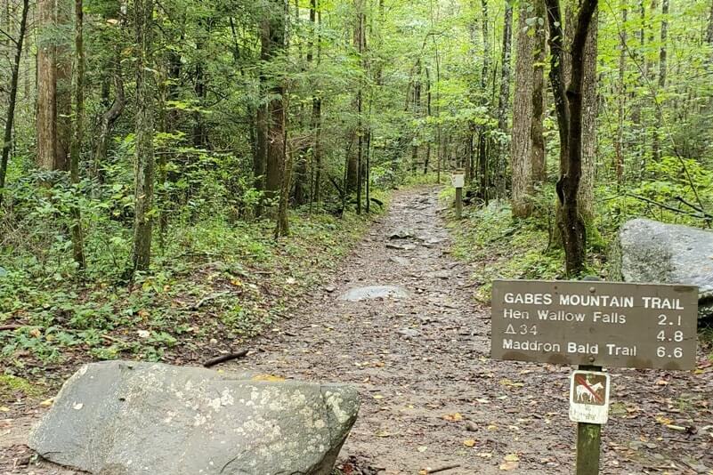 Hiking trail to waterfalls in Great Smoky Mountains National Park: Hen Wallow Falls Trail. Best waterfall hikes in the Smoky Mountains in Tennessee TN. Smokies travel blog