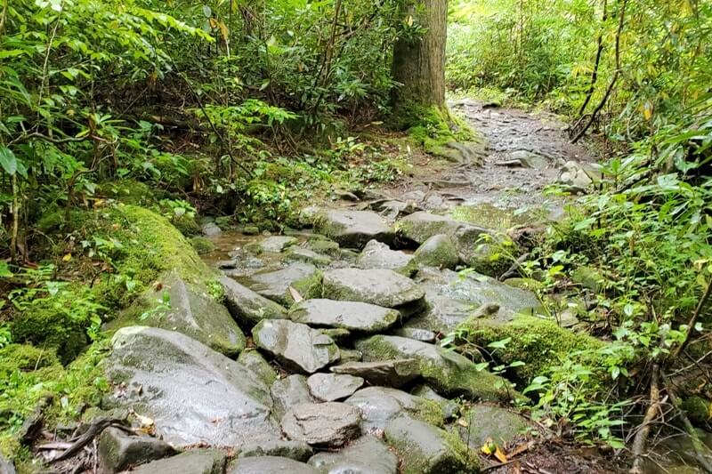 Waterfalls in Great Smoky Mountains National Park: Hen Wallow Falls Trail. Best waterfall hikes in the Smoky Mountains in Tennessee TN. Smokies travel blog