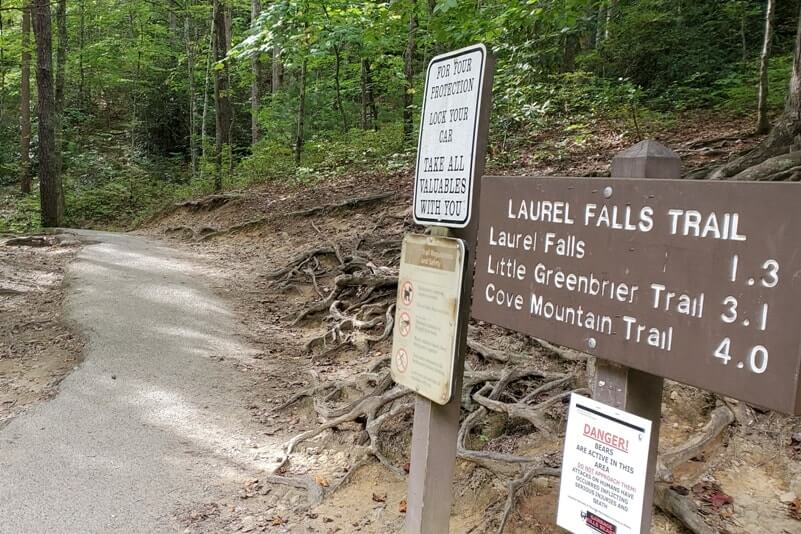 Hiking to waterfalls in Great Smoky Mountains National Park: Laurel Falls Trail. Best waterfall hikes in the Smoky Mountains in Tennessee TN. Smokies travel blog