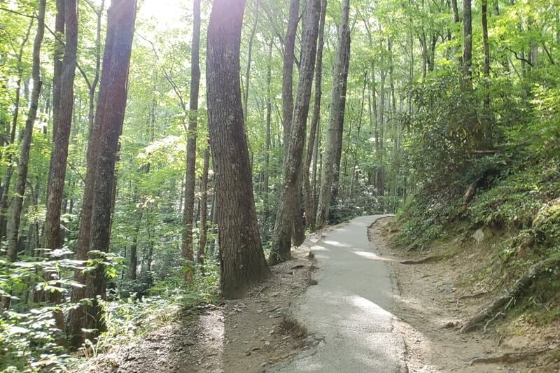 Waterfalls in Great Smoky Mountains National Park: Laurel Falls Trail. Best waterfall hikes in the Smoky Mountains in Tennessee TN. Smokies travel blog