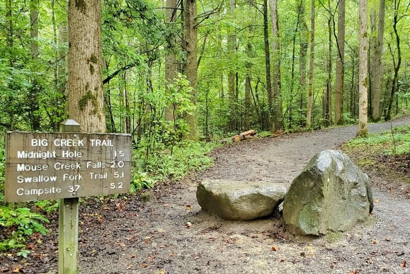 Hiking to waterfalls in Great Smoky Mountains National Park: Midnight Hole Falls Trail. Best waterfall hikes in the Smoky Mountains in North Carolina NC. Smokies travel blog